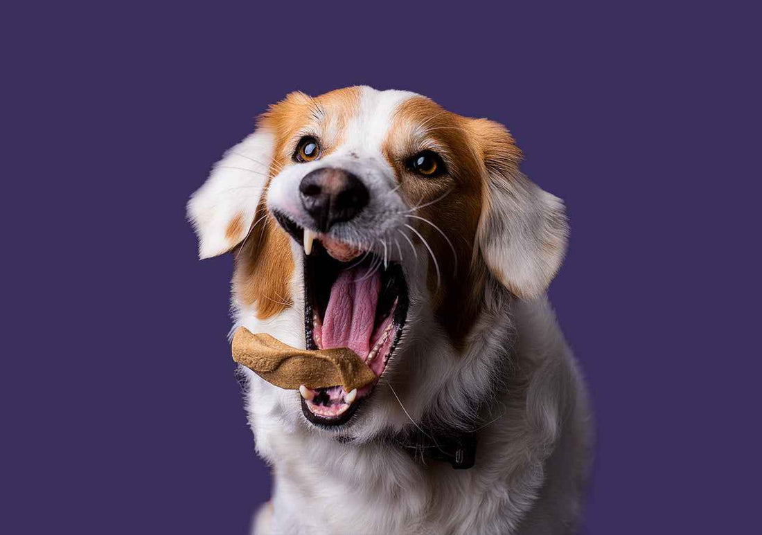Testing Alt