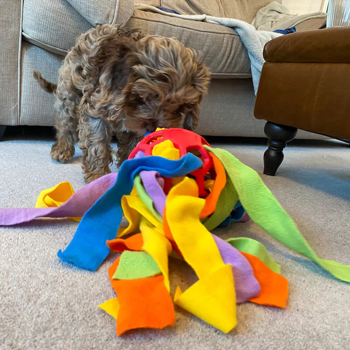 Hondenspeelgoed: Creatieve manieren om je hond te stimuleren - Ruffy