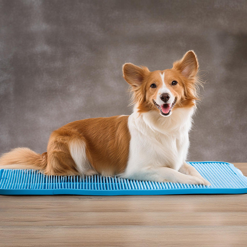 Verkoelende Honden Producten