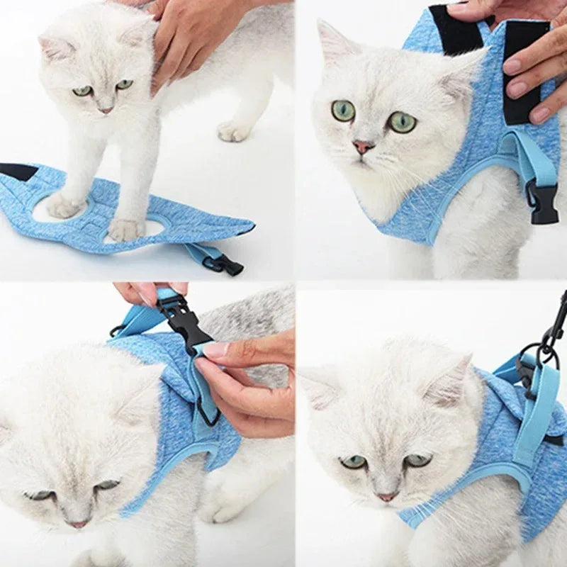 Luxe verstelbaar kattentuigje met bijpassende riem – Stijlvol en comfortabel voor dagelijkse wandelingen - Ruffy