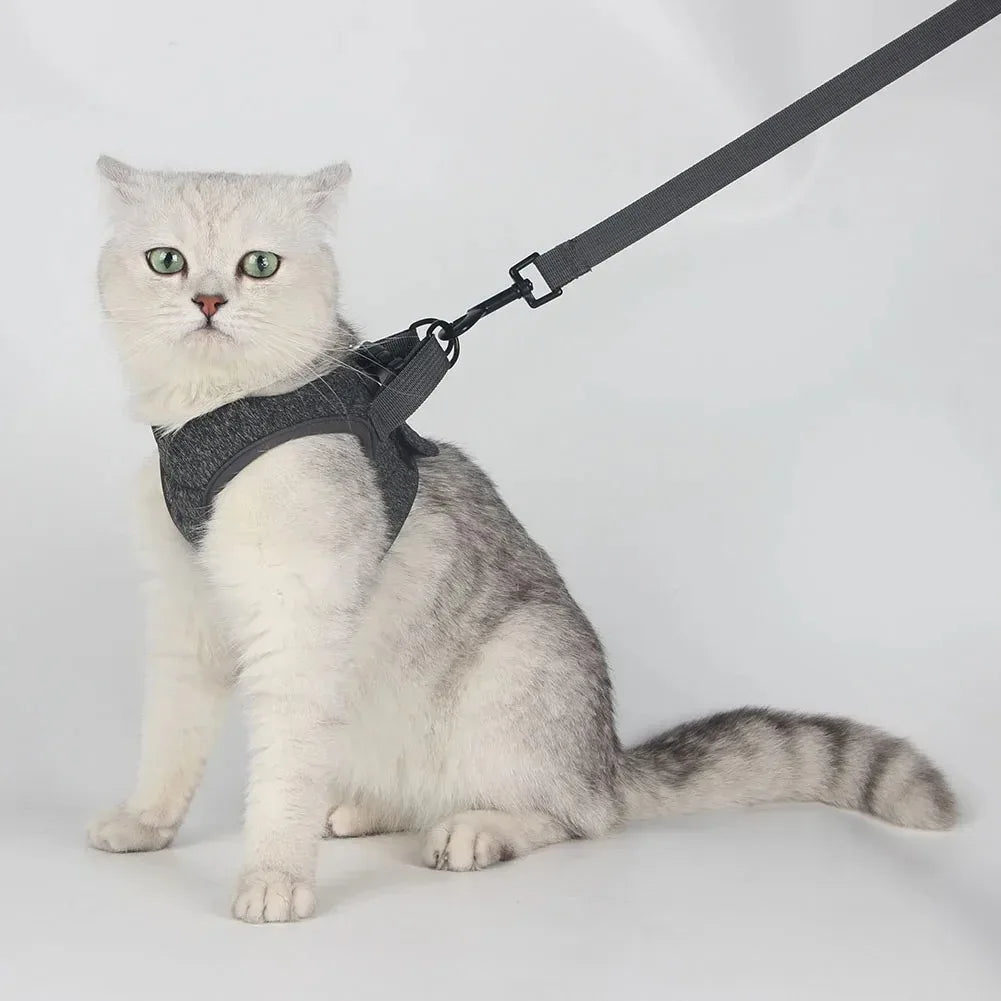 Luxe verstelbaar kattentuigje met bijpassende riem – Stijlvol en comfortabel voor dagelijkse wandelingen - Ruffy