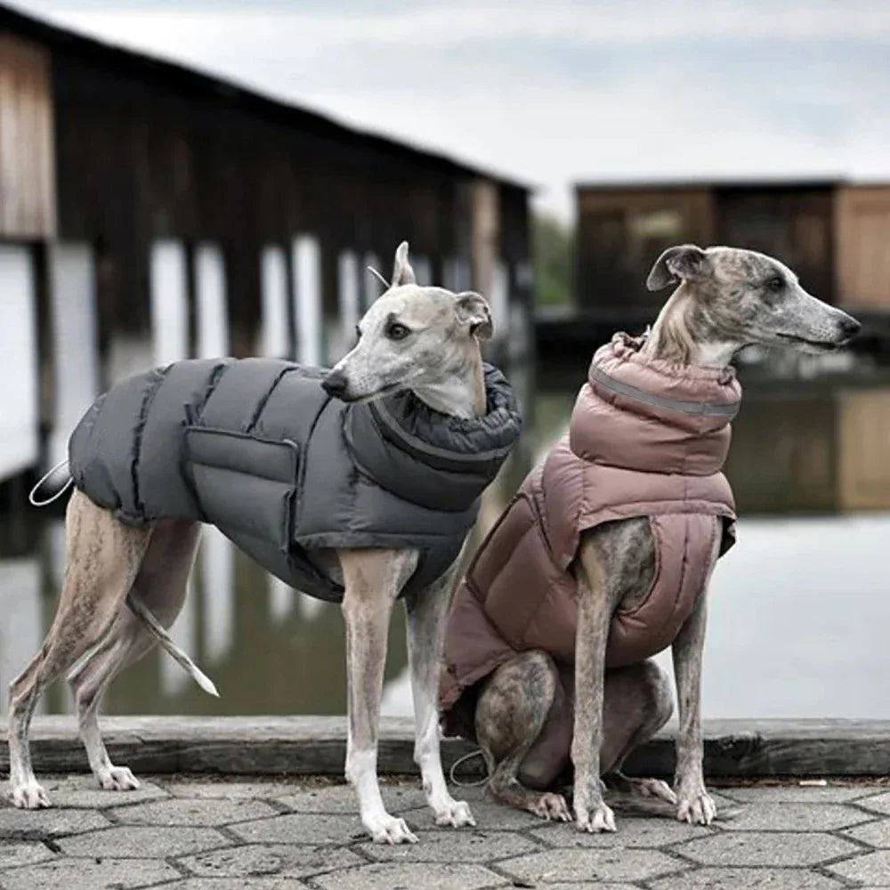 Waterdichte Winterjas voor Honden Warm Verstelbaar met Reflecterende Strips Machinewasbaar - Ruffy