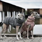Waterdichte Winterjas voor Honden Warm Verstelbaar met Reflecterende Strips Machinewasbaar - Ruffy