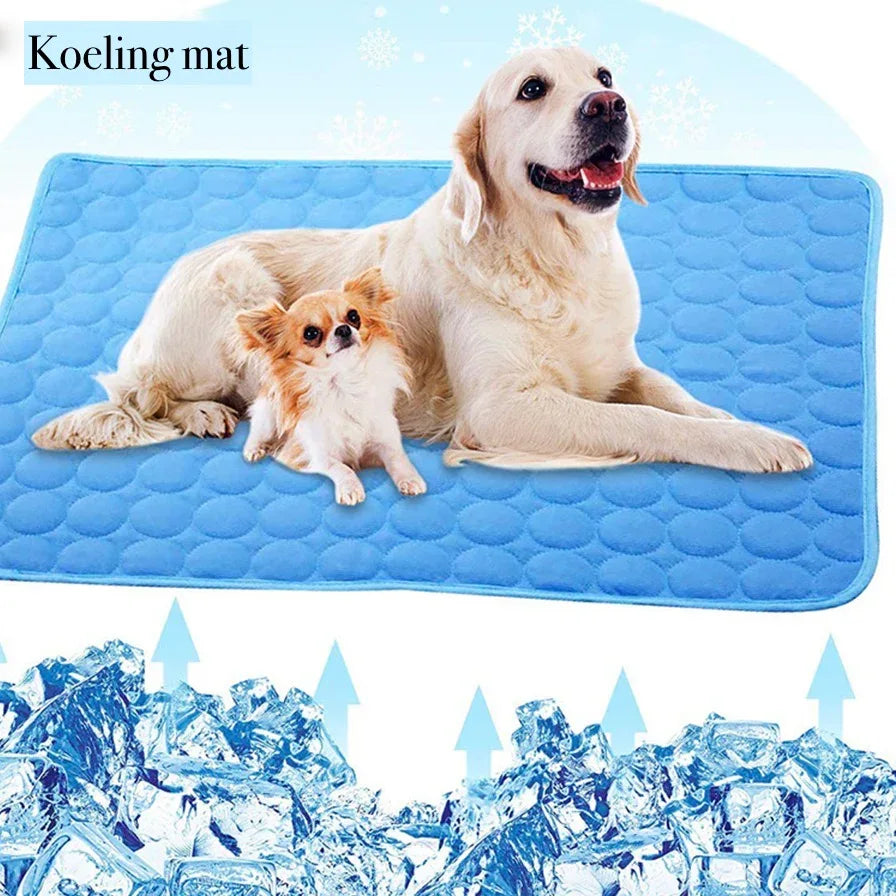 Wasbaar Verkoelend Zomer Hondenkussen - Ruffy