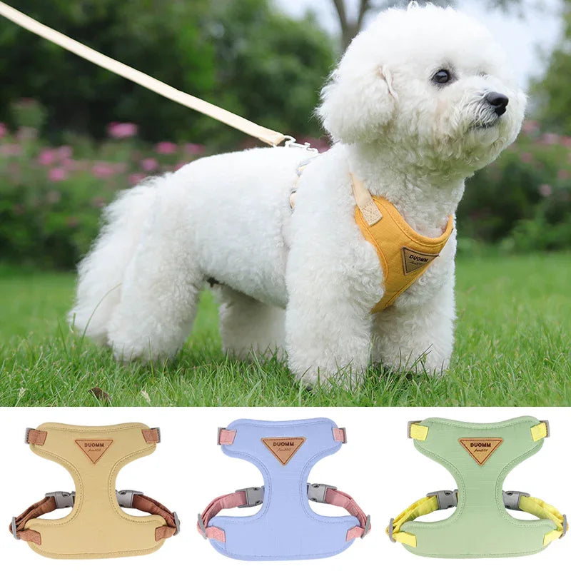 Kleine Honden Tuig Pastel Kleuren - Ruffy