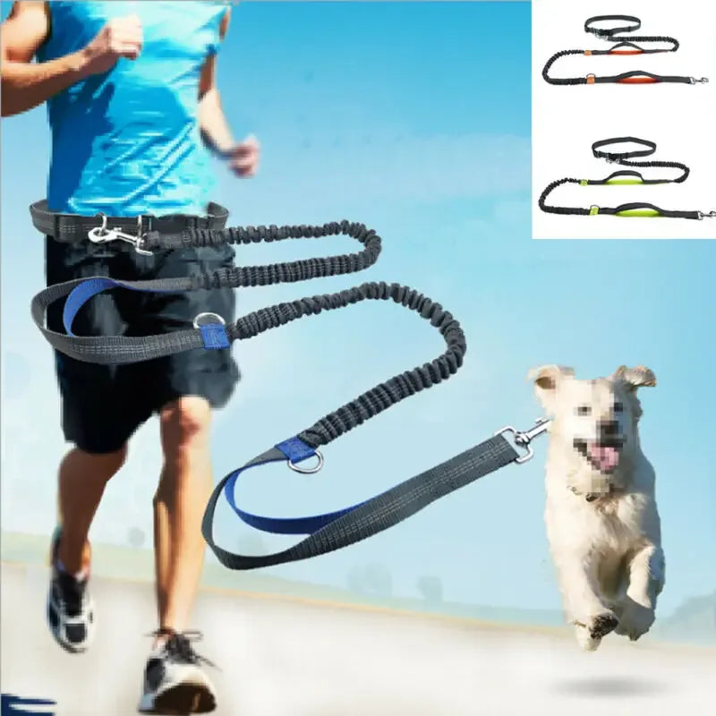 Handsfree reflecterende hondenriem met schokabsorberend elastiek voor joggen - Ruffy