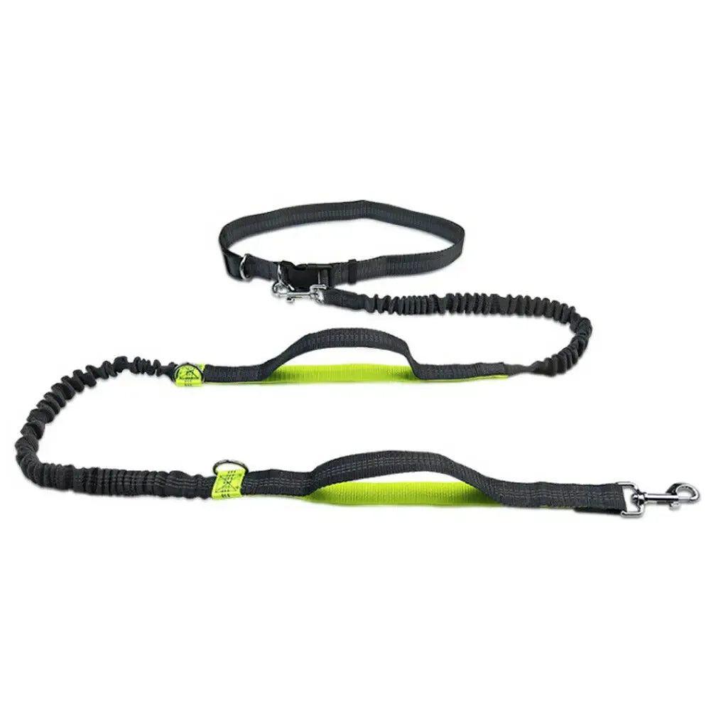 Handsfree reflecterende hondenriem met schokabsorberend elastiek voor joggen - Ruffy