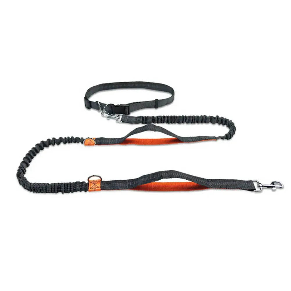 Handsfree reflecterende hondenriem met schokabsorberend elastiek voor joggen - Ruffy
