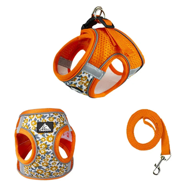 Reflecterend Harnas en Leiband Set Comfortabel Polyester met Stijlvolle Patronen voor Kleine Medium Honden en Katten - Ruffy