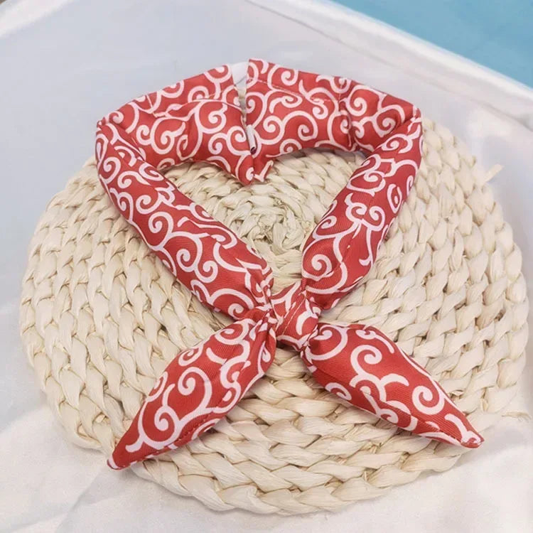 Wasbare hondenbandana Stijlvol polyesterontwerp in levendige patronen Maten S-L - Ruffy