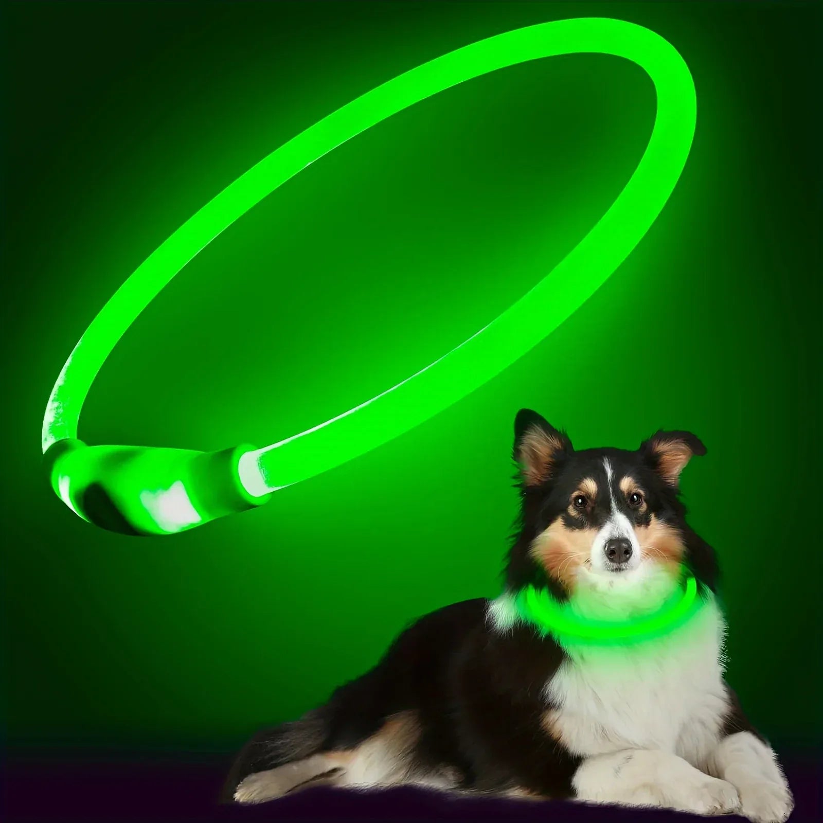 LED reflecterende nylon hondenhalsband - duurzaam, verstelbaar & weerbestendig voor alle seizoenen - Ruffy