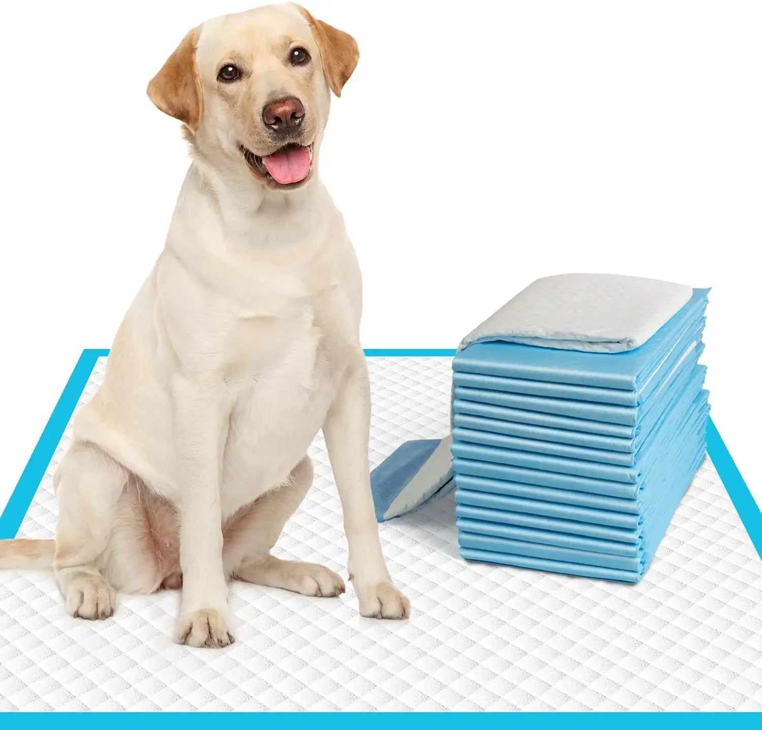 Trainingspads voor honden - Lekvrij, extra absorberend - Ruffy