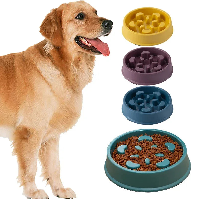 Huisdier Slow Food Kom, Betrokken Ontwerp, Perfect voor Kleine Honden - Ruffy