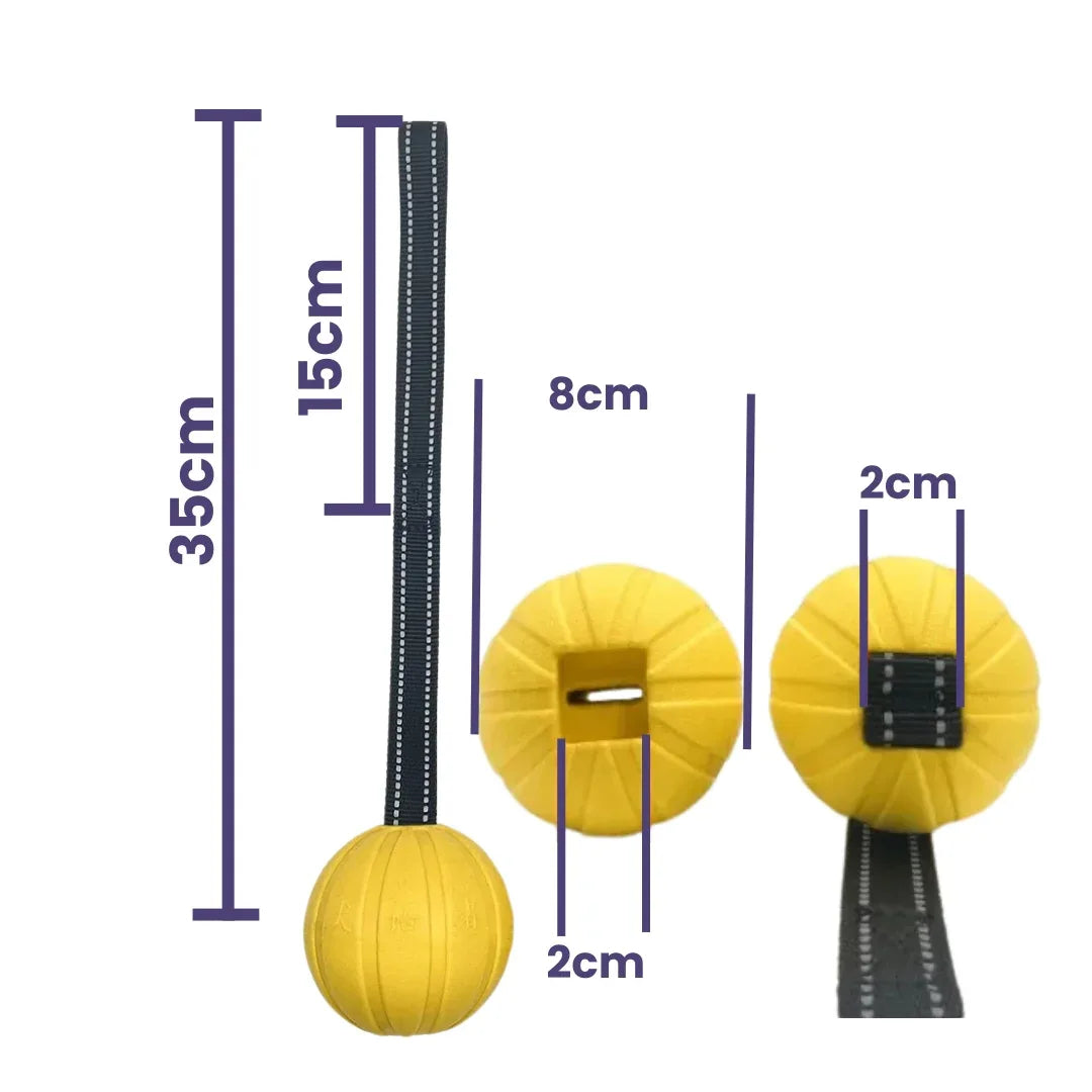 Hondentraining Rubber Bal met Touw - Ruffy