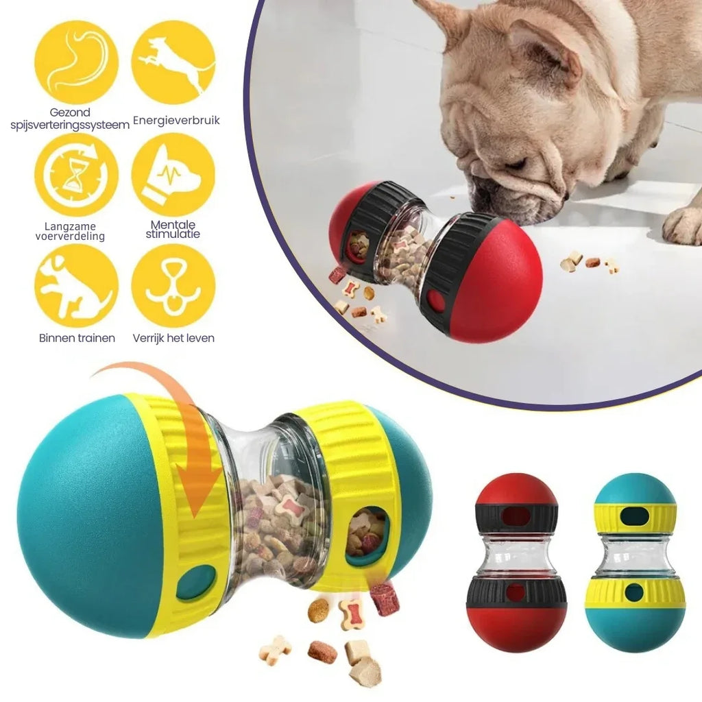 Interactief Achtervolgingsspeeltje voor Honden Halterontwerp Mentale Stimulatie en Beweging - Ruffy
