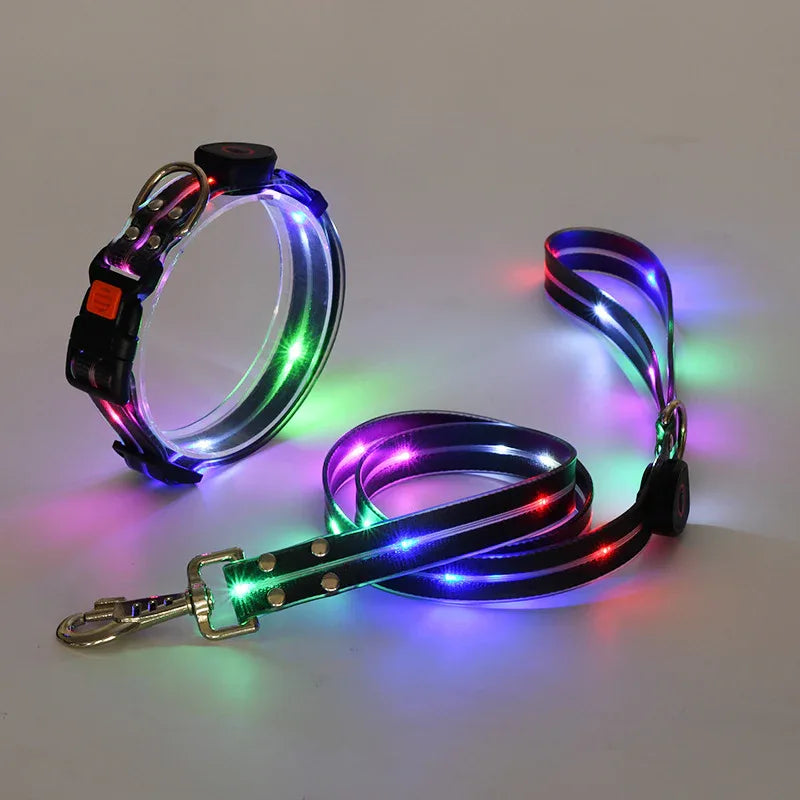 LED-Up Leash Verlichte Hondenriem USB Oplaadbaar Veilig Zichtbaar Duurzaam PVC Ergonomisch Handvat - Ruffy