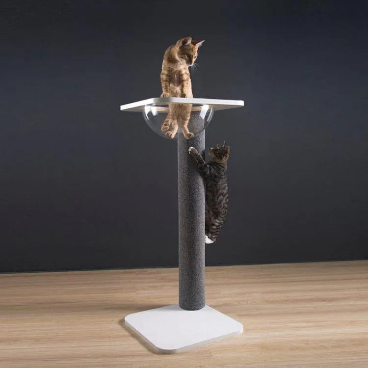 Kattencapsule met Klimrek Massief Hout Transparant Design Comfortabel en Ruimtebesparend - Ruffy