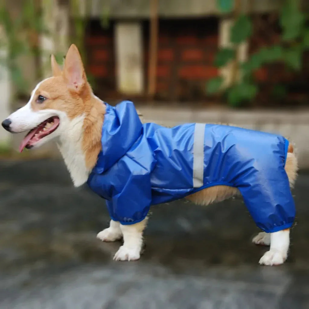 Reflecterende Regenjas voor Kleine Honden - Ruffy