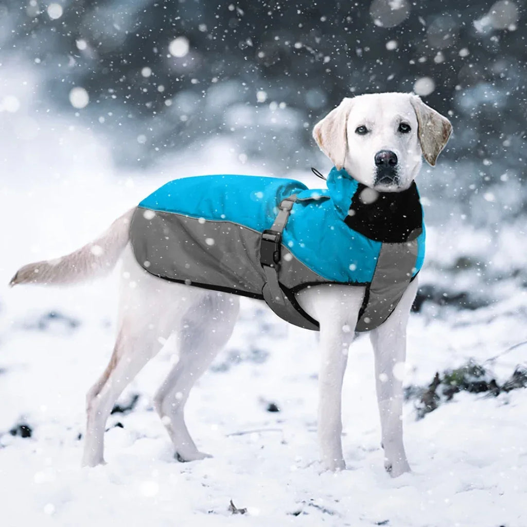Waterdichte Winterjas Voor Grote Honden Warm Gewatteerd Reflecterend Volledige Dekking Machinewasbaar - Ruffy