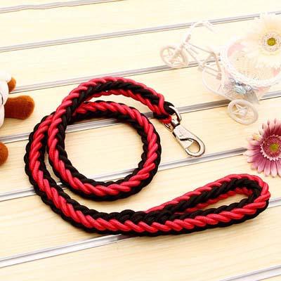 Sterke Gevlochten Nylon Hondenriem | Zware Gesp | Duurzame & Comfortabele Grip - Ruffy