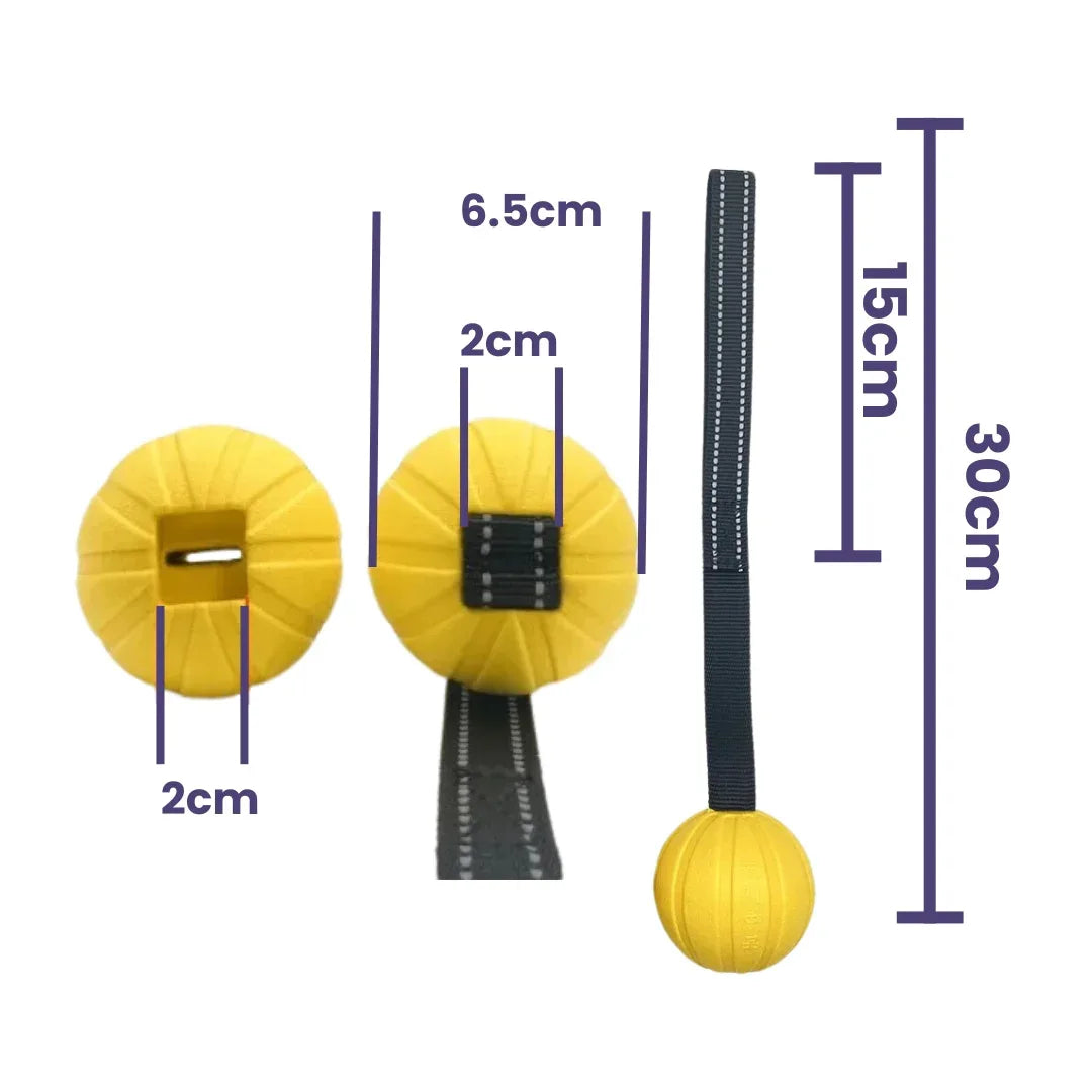 Hondentraining Rubber Bal met Touw - Ruffy