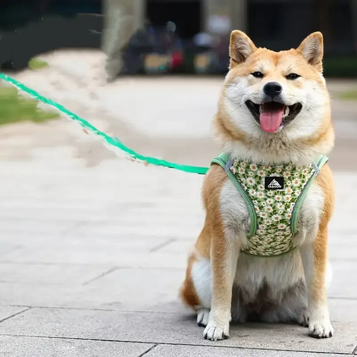 Ademend Nylon Mesh Kat en Puppy Harnas Verstelbaar Comfortabel Lichtgewicht Stijlvol Veilig Voor Dagelijkse Wandelingen - Ruffy