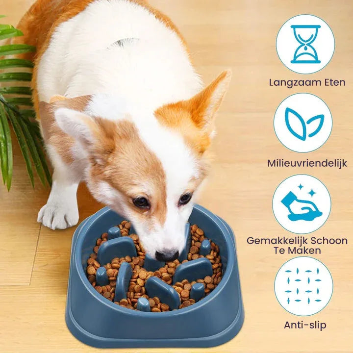 Anti-Schrok Langzame Voerbak voor Honden Duurzaam en Antislip in Speelse Designs - Ruffy