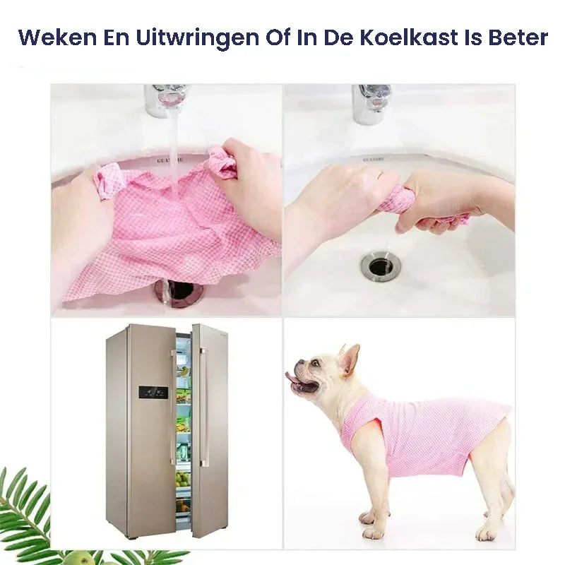 Verkoelend Honden T-Shirt Ademend en Lichtgewicht Voor Comfort en Temperatuurregulatie - Ruffy
