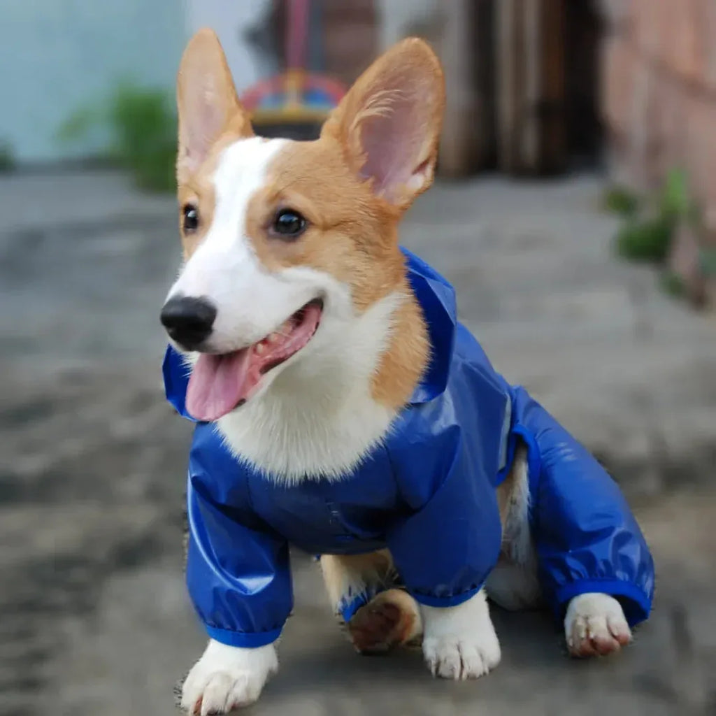 Reflecterende Regenjas voor Kleine Honden - Ruffy