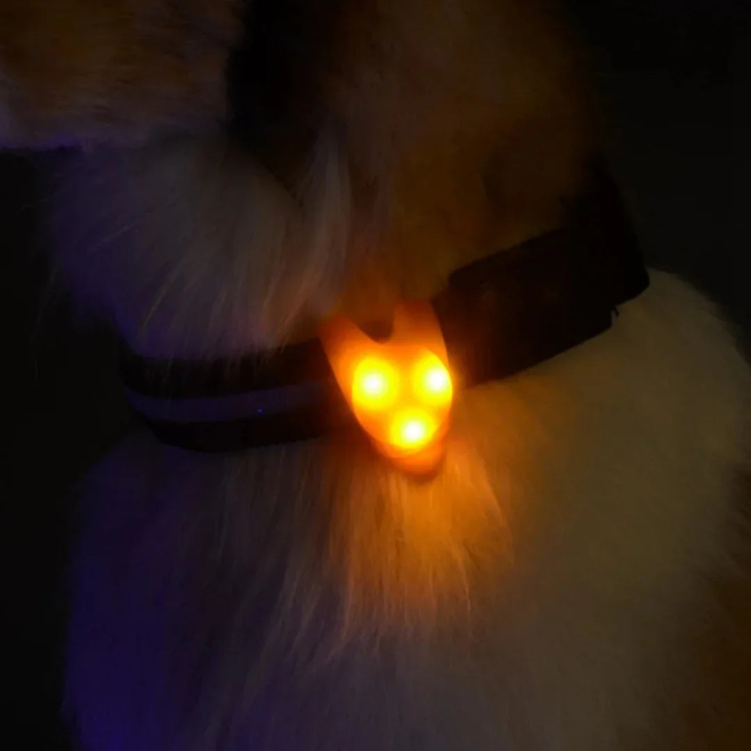 LED Silicone Knipperhanger Voor Huisdieren Verhoogde Zichtbaarheid Waterdicht Duurzaam Meerdere Knippermodi Voor Nachtveiligheid - Ruffy