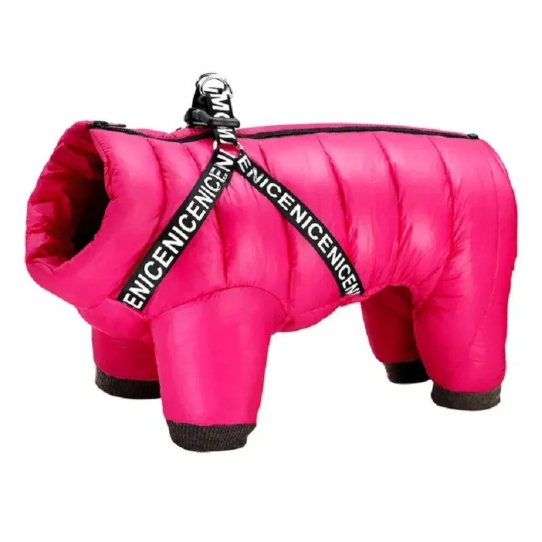 Kleine en Medium Hondenjas Winter Dons Machinewasbaar, Waterdicht - Ruffy