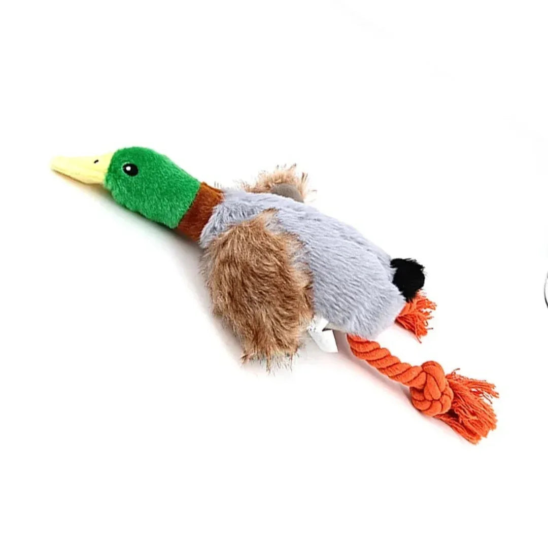 Pluche Eendje Kauw Speelgoed Piepende Geluiden Gebitsverzorging Duurzaam Veilig Voor Honden - Ruffy