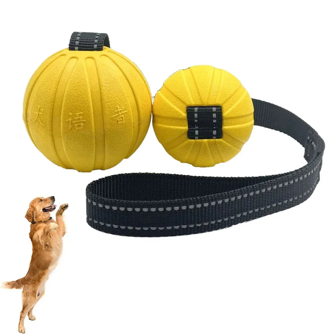 Hondentraining Rubber Bal met Touw - Ruffy