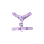 Lichte Kleur Hondentuig Leiband Set Voor Kleine Honden - Ruffy