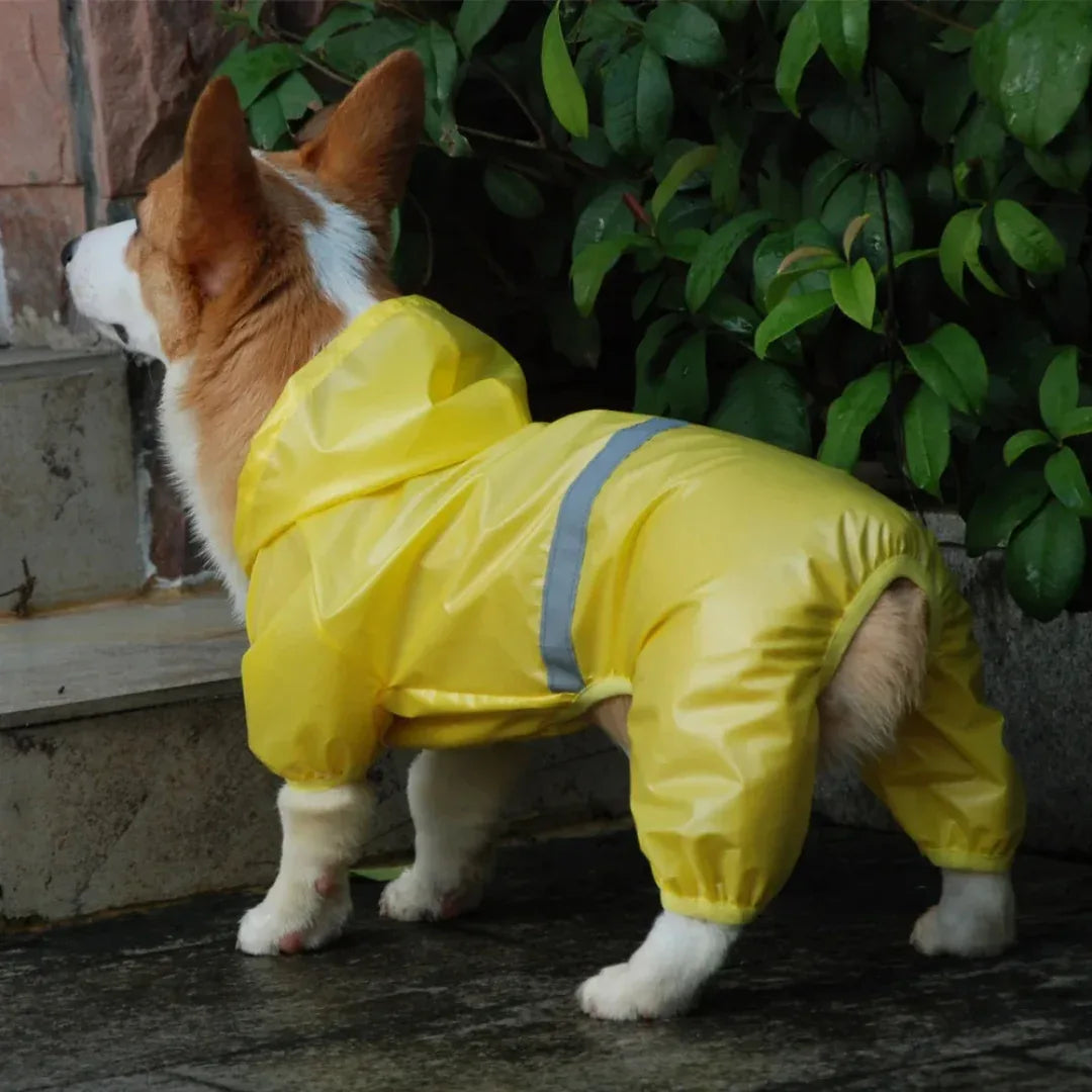 Reflecterende Regenjas voor Kleine Honden - Ruffy