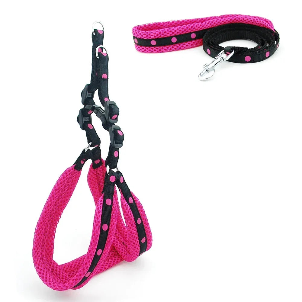 Reflecterend Ademend Mesh Harnas Voor Kleine Honden Veiligheid Comfort Verstelbaar Nylon Zinken Legering Haak - Ruffy