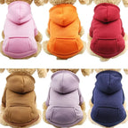 Warme Hondentrui Hoodie - Ruffy