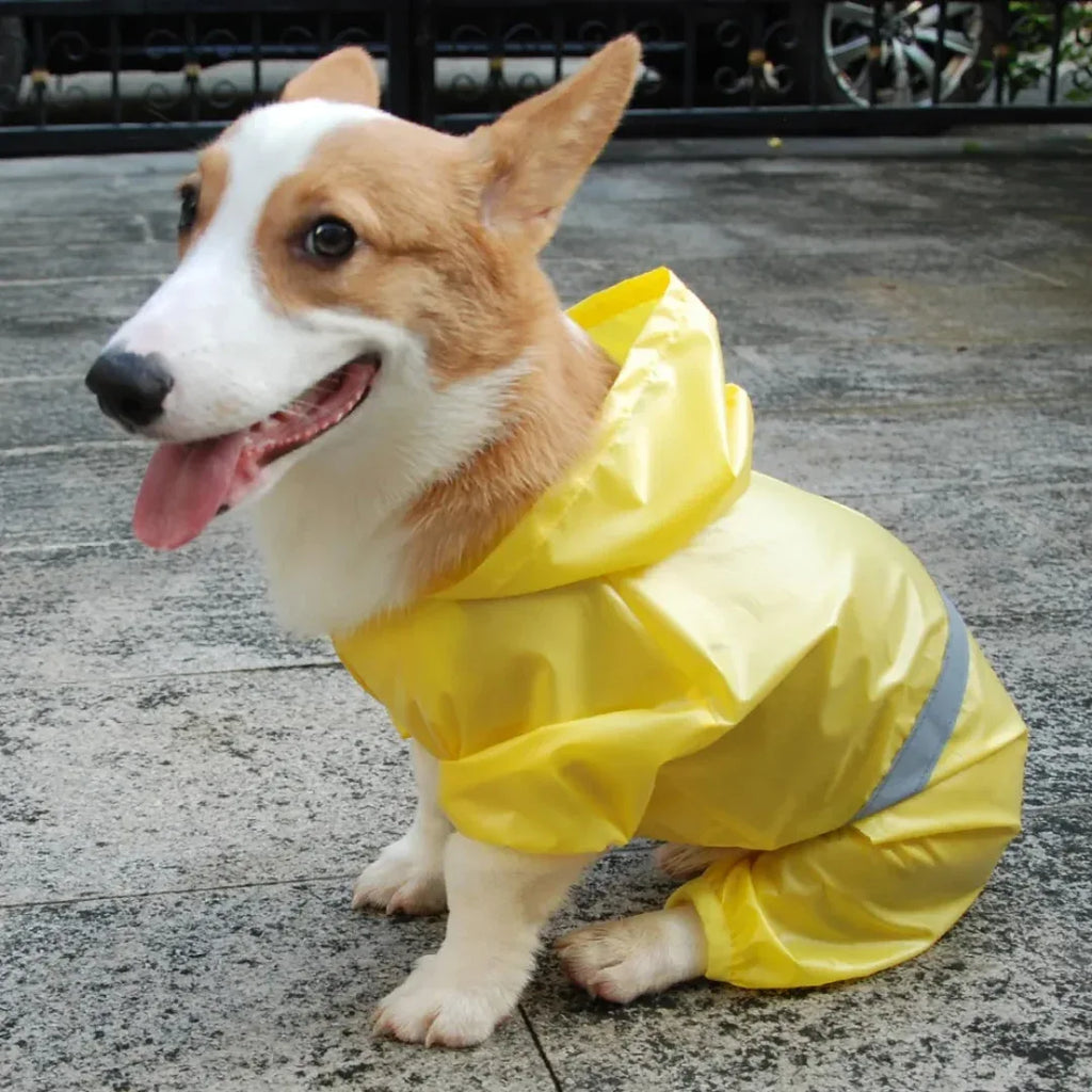 Reflecterende Regenjas voor Kleine Honden - Ruffy