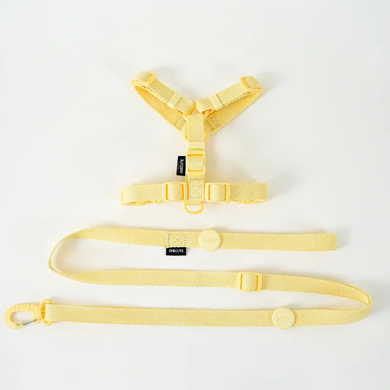 Lichte Kleur Hondentuig Leiband Set Voor Kleine Honden - Ruffy