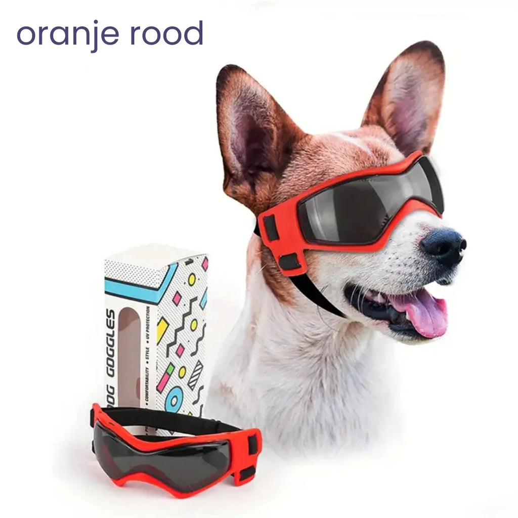 Hond UV-bescherming Brillen - Ruffy
