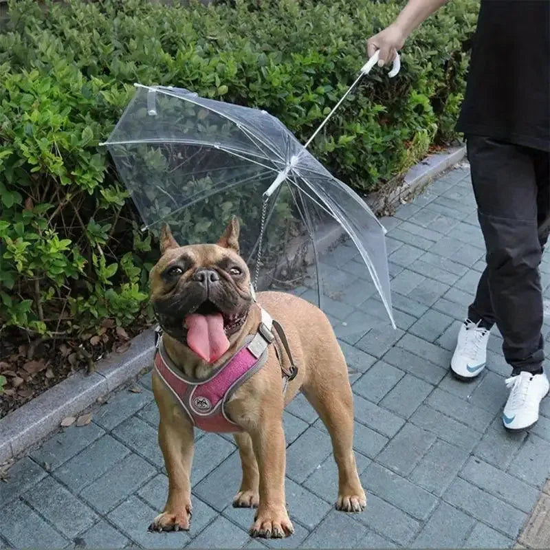 Hondenparaplu Met Riem Transparant Duurzaam Weerbestendig Kunststof Metaal Voor Regen en Sneeuw - Ruffy