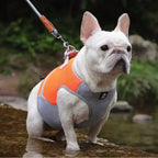 Hond Verkoelende Zomerjas - Ruffy