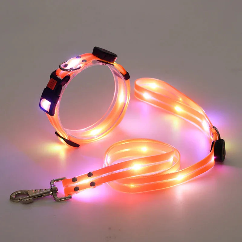 LED-Up Leash Verlichte Hondenriem USB Oplaadbaar Veilig Zichtbaar Duurzaam PVC Ergonomisch Handvat - Ruffy