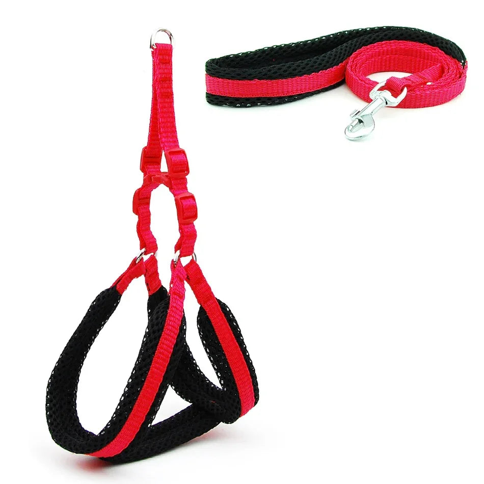 Reflecterend Ademend Mesh Harnas Voor Kleine Honden Veiligheid Comfort Verstelbaar Nylon Zinken Legering Haak - Ruffy
