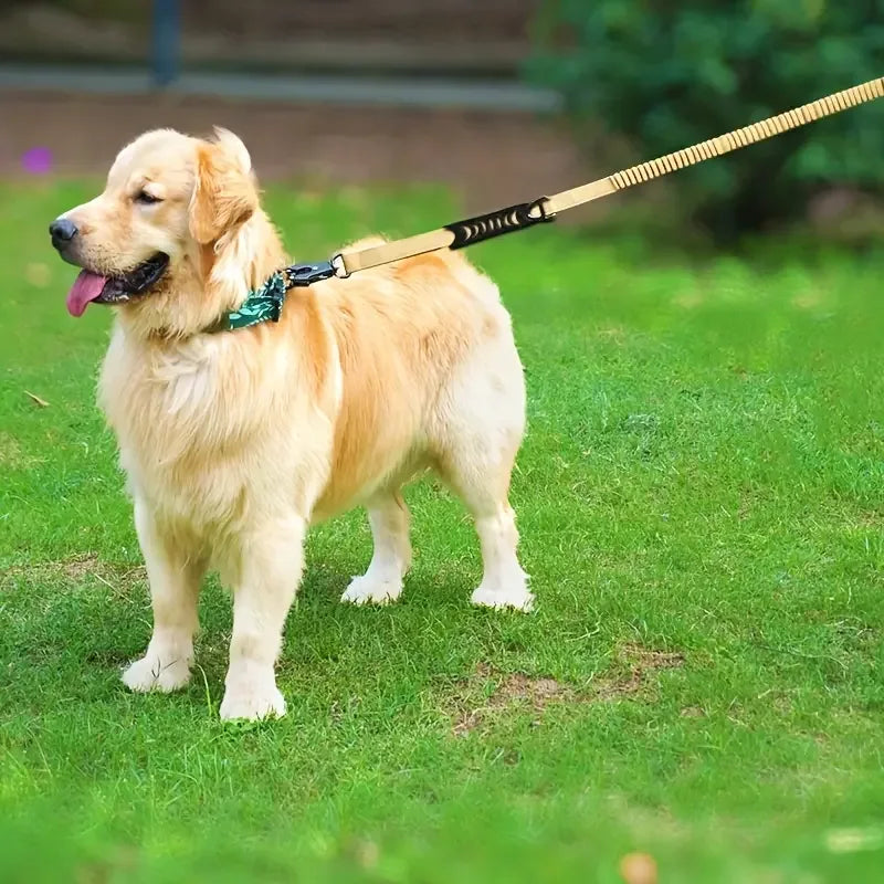 Intrekbare Hondenriem Duurzaam Ergonomisch Veiligheidsslot Veelzijdig Gebruik Nylon Voor Sterke Honden - Ruffy