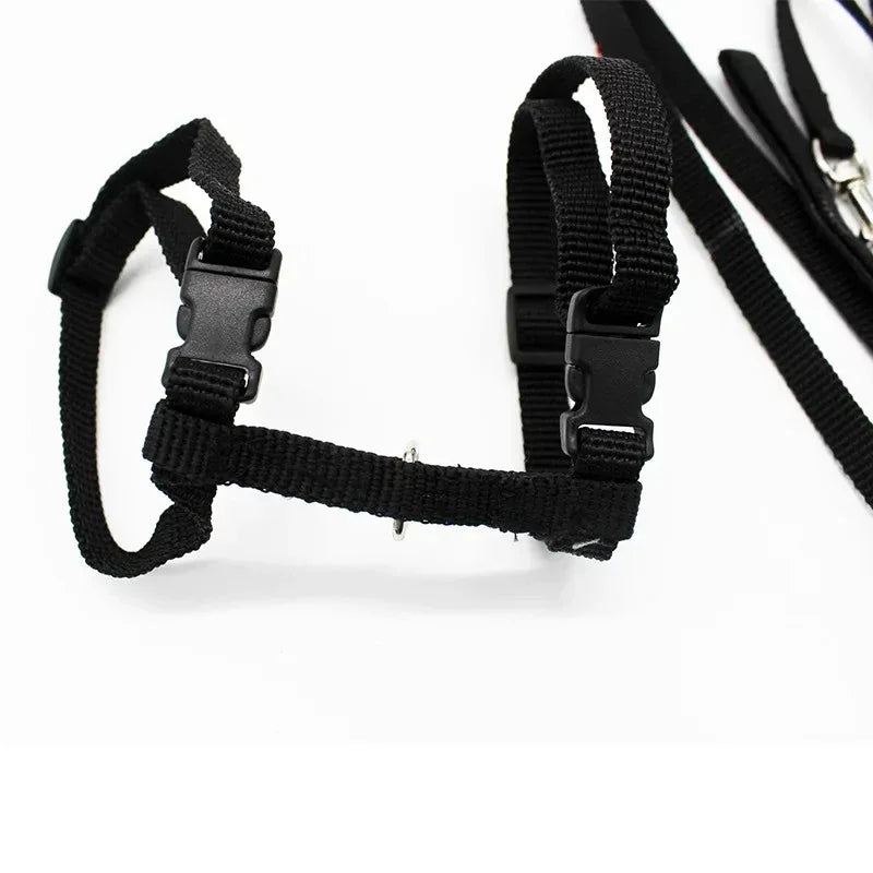 Duurzaam verstelbaar nylon kattentuig met bijpassende riem – veiligheid en comfort voor actieve katten - Ruffy