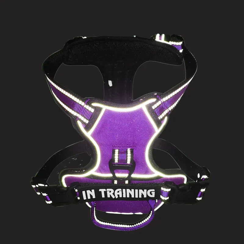 Gepersonaliseerd Reflecterend Antitrek Hondentuig - Ruffy
