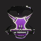 Gepersonaliseerd Reflecterend Antitrek Hondentuig - Ruffy