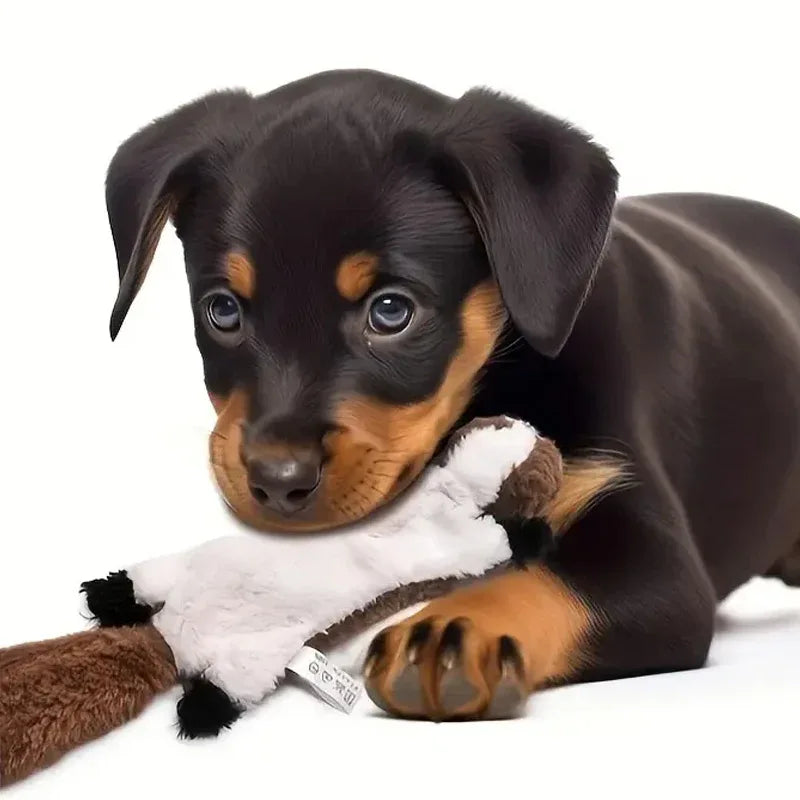 Zacht piepend pluche kauwspeelgoed voor honden Duurzaam fleece dierenvormen voor interactief spelen - Ruffy