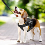 Verstelbaar Assistentiehonden Tuig | Gewatteerd Comfort | Reflecterend Nylon | Verwijderbare Patches - Ruffy